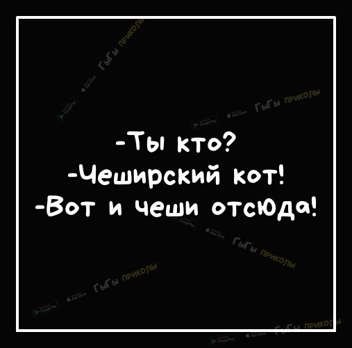 Ты кто Чеширский Кот Вот и чеши отсЮдо