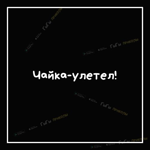 Чайке улетел