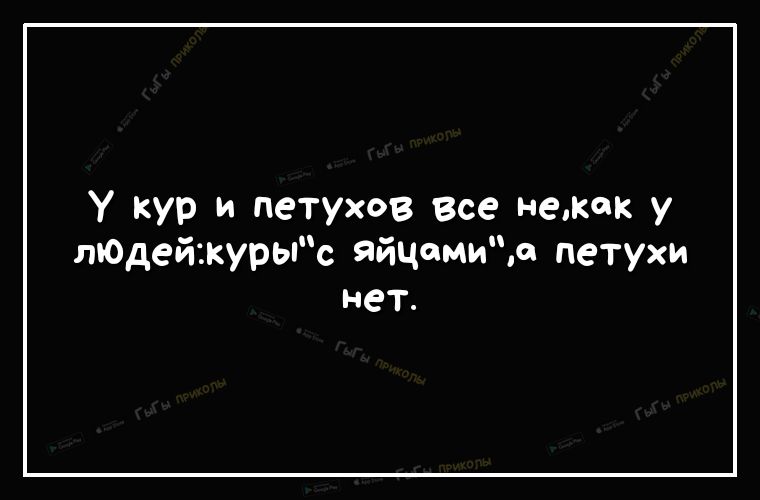 У кур и петухов все немок у лЮдейікурыс яйцамио петухи нет