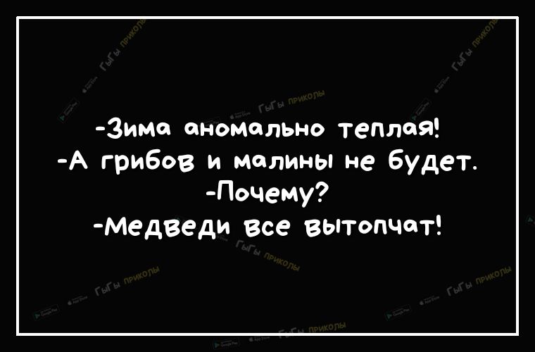 3имо аномально теплиц А грибов и молимЬпне Будет Почему Медведи все вытопчот