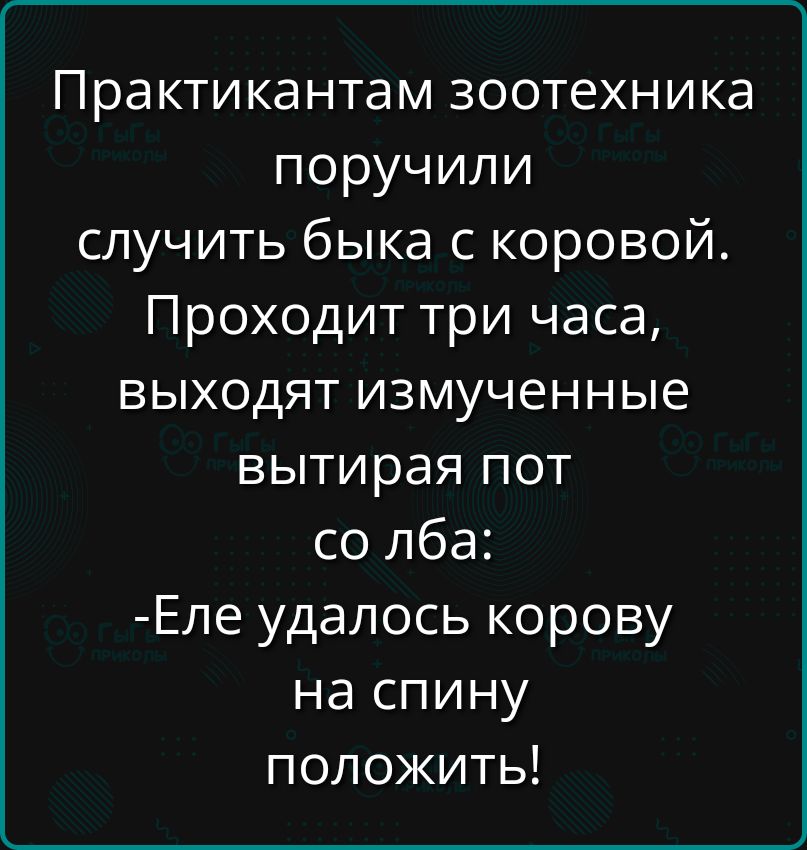 Практикантам зоотехника поручили случить быка с коровой Проходит три часа выходят измученные вытирая пот со лба Еле удалось корову на спину положить