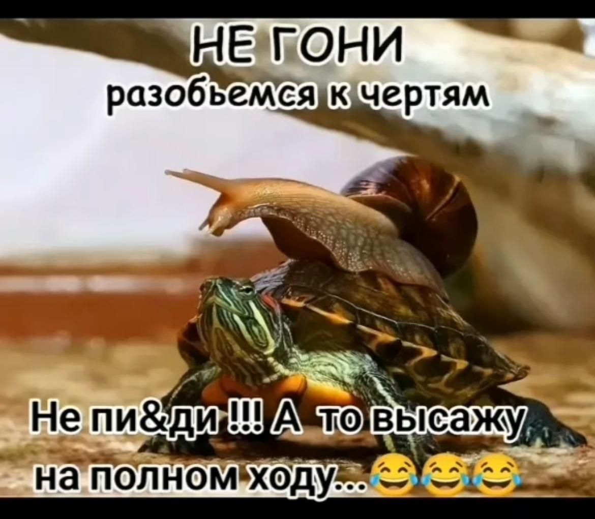НЕ ГОНИ
разобьемся к чертям
Не пи&ди !!! А то высажу
на полном ходу...
😂😂😂