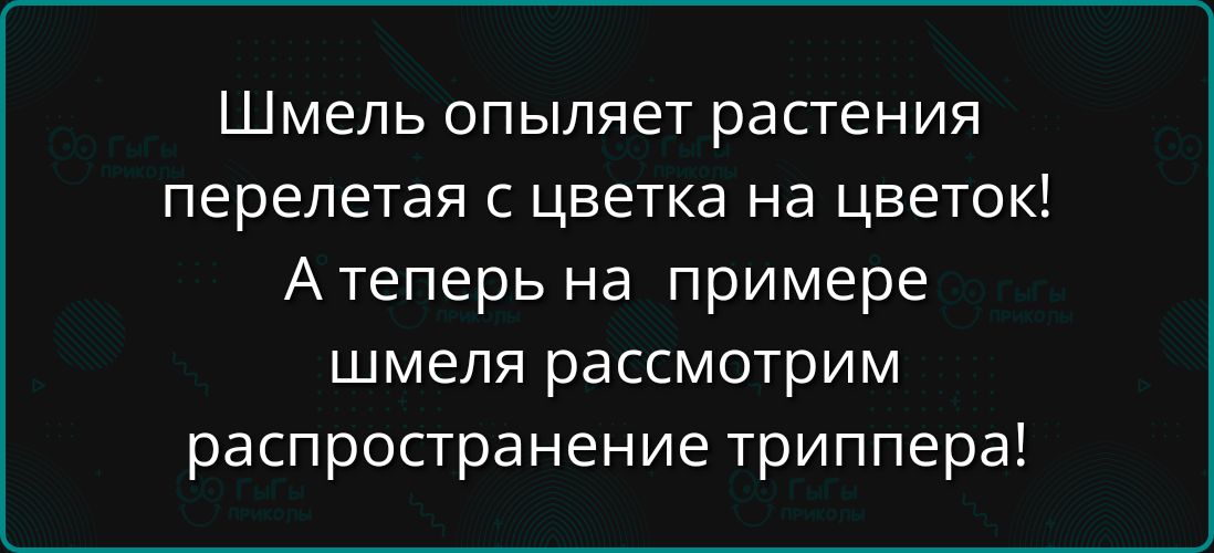 Шмель опыляет растения перелетая с цветка на цветок! А теперь на примере шмеля рассмотрим распространение триппера!