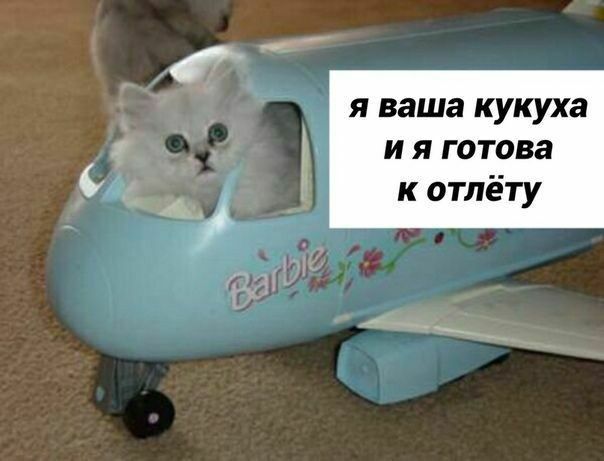я ваша кукуха и я готова к отлёту