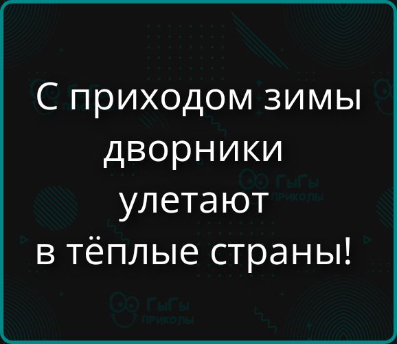 С приходом зимы дворники улетают в тёплые страны!