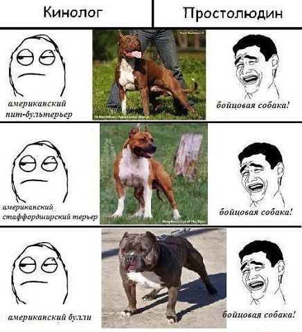 Кинопог Простолюдин шмрикшкип питдуиихгрпр шперщцпгтл пафформниргхийтгрир вииккаискип идти в айшшл папахи
