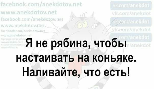 Я не рябина чтобы настаивать на коньяке Наливайте что есть