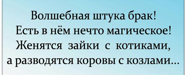 Волшебная штука брак Есть в нём нечто магическое Женятся зайки с котиками разводятся коровы с козлами