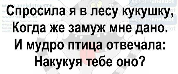 Спросила я в лесу кукушку Когда же замуж мне дано И мудро птица отвечала Накукуя тебе оно