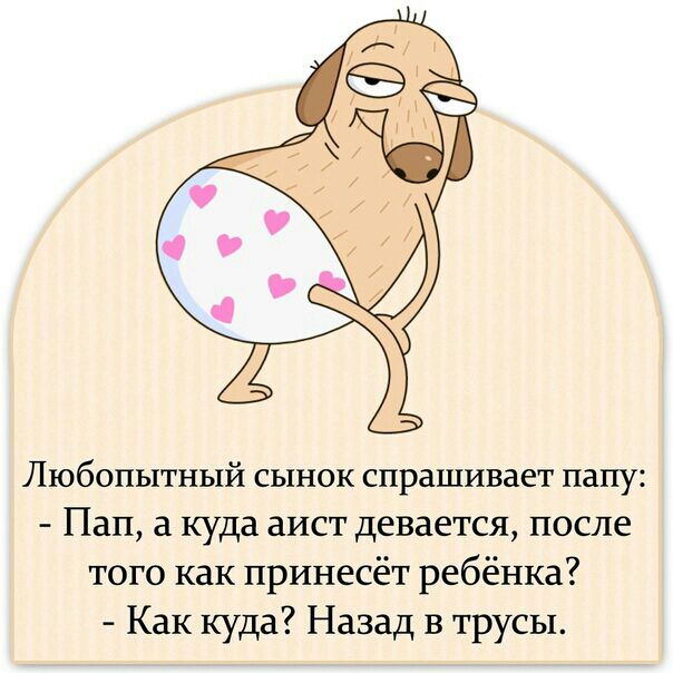 Любопытный сынок спрашивает папу Пап а куда аист девается после того как принесёт ребёнка Как куда Назад в трусы