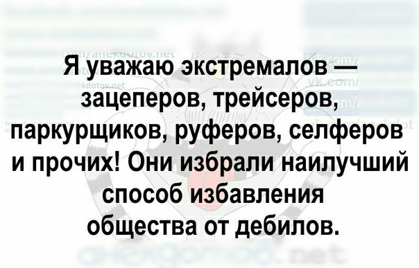 Я уважаю экстремалов зацеперов трейсеров паркурщиков руферов селферов и прочих Они избрали наилучший способ избавления общества от дебилов