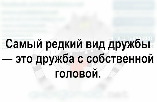 Самый редкий вид дружбы это дружба с собственной головой