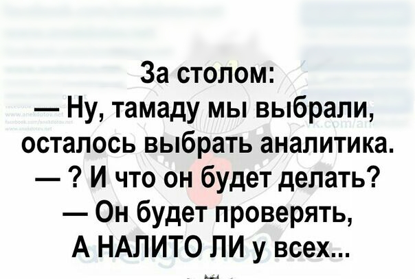 За столом Ну тамаду мы выбрали осталось выбрать аналитика И что он будет делать Он будет проверять А НАЛИТО ЛИ у всех