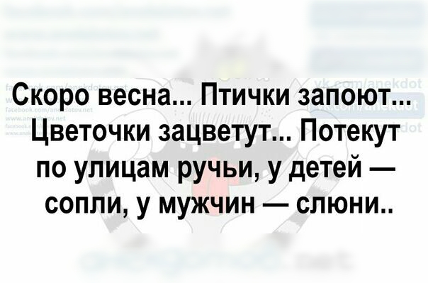 Скоро весна Птички запоют Цветочки зацветут Потекут по улицам ручьи у детей сопли у мужчин слюни