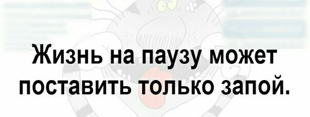 Жизнь на паузу может поставить только запой