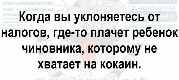 Когда вы уклоняетесь от налогов где то плачет ребенок чиновника которому не хватает на кокаин