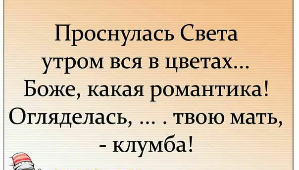 Проснулась Света утром вся в цветах Боже какая романтика Огляделась твою мать клумба