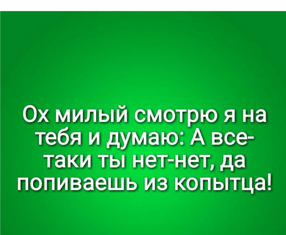 Ох милый смотрю я на тебя и думаю А все таки ты нет нет да попиваешь из копытца