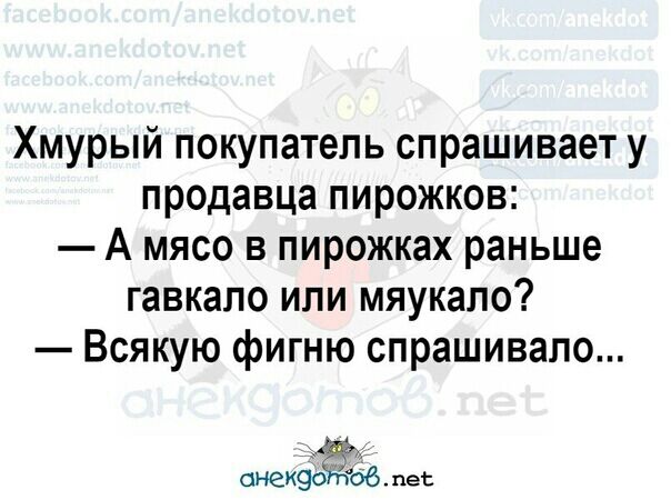 Хмурый покупатель спрашивает у продавца пирожков А мясо в пирожках раньше гавкапо или мяукало Всякую фигню спрашивало онек9о4ёоб пес