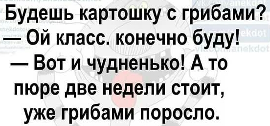 Будешь картошку с грибами Ой класс конечно буду Вот и чудненько А то пюре две недели стоит уже грибами поросло