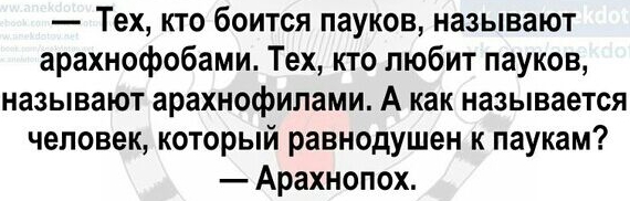 Тех кто боится пауков называют арахнофобами Тех кто любит пауков называют арахнофилами А как называется человек который равнодушен к паукам Арахнопох