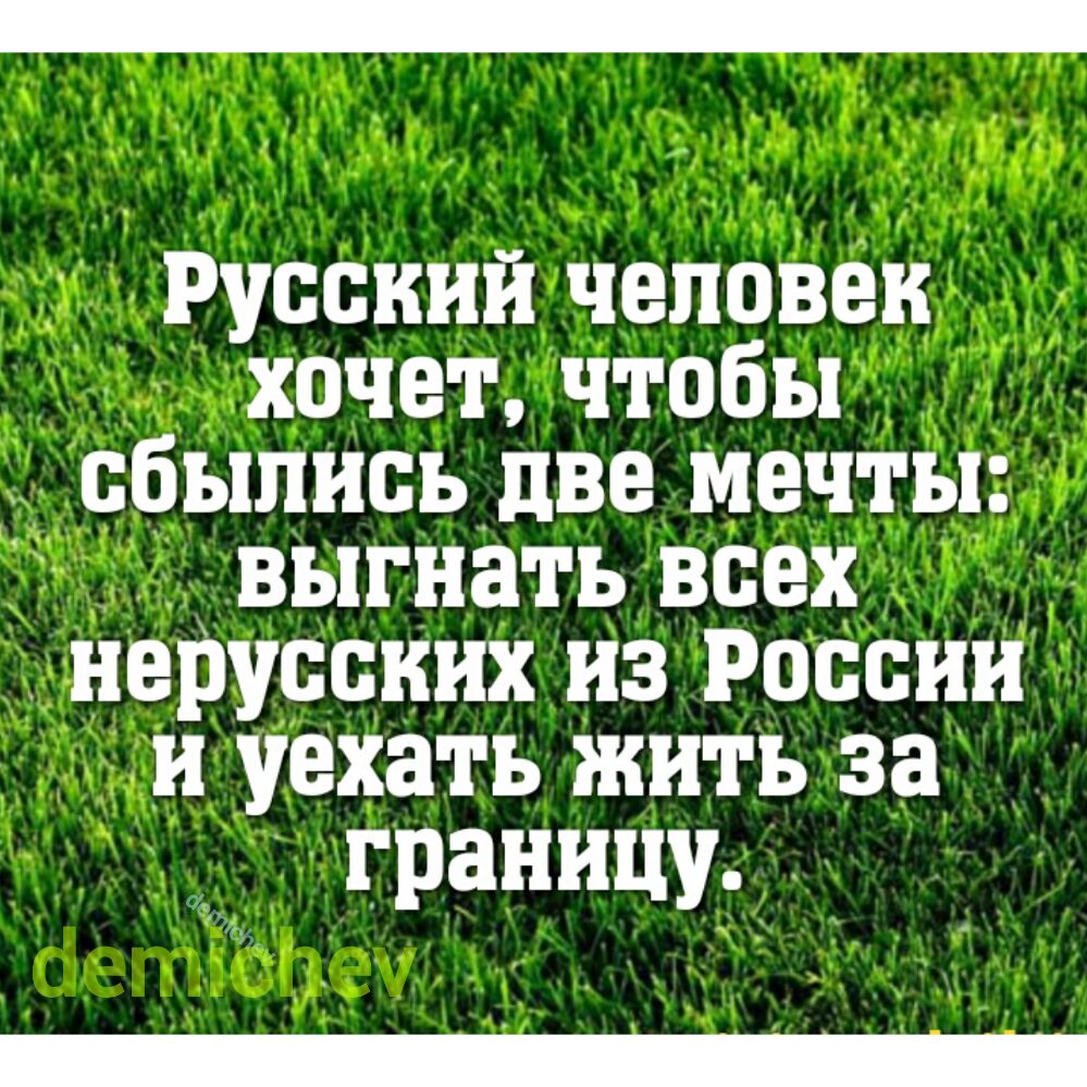 Русский человек хочет чтобы сбылисьдве мечты выгнать всех _ нерусских из России и уехать жить за ГРЗНИЦУ