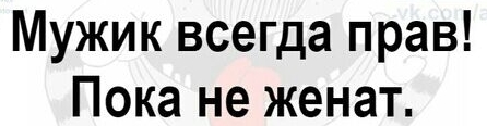 Мужик всегда прав Пока не женат