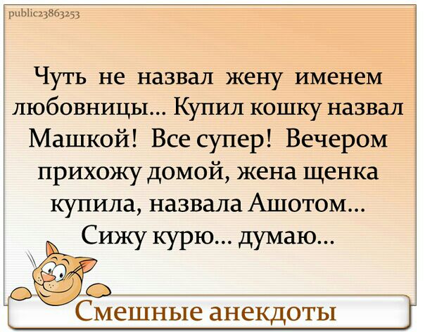 шЫк13863153 ЧУТЬ не назвал жену ИМЕНЕМ любовницы Купил кошку назвал Машкой Все супер Вечером прихожу домой жена щенка купила назвала Ашотом Сижу курю думаю мешные ЗНЗКДОТЫ