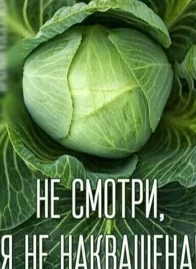 НЕ ЕМШРИ 5 Я НРНАНЯМНГНШ