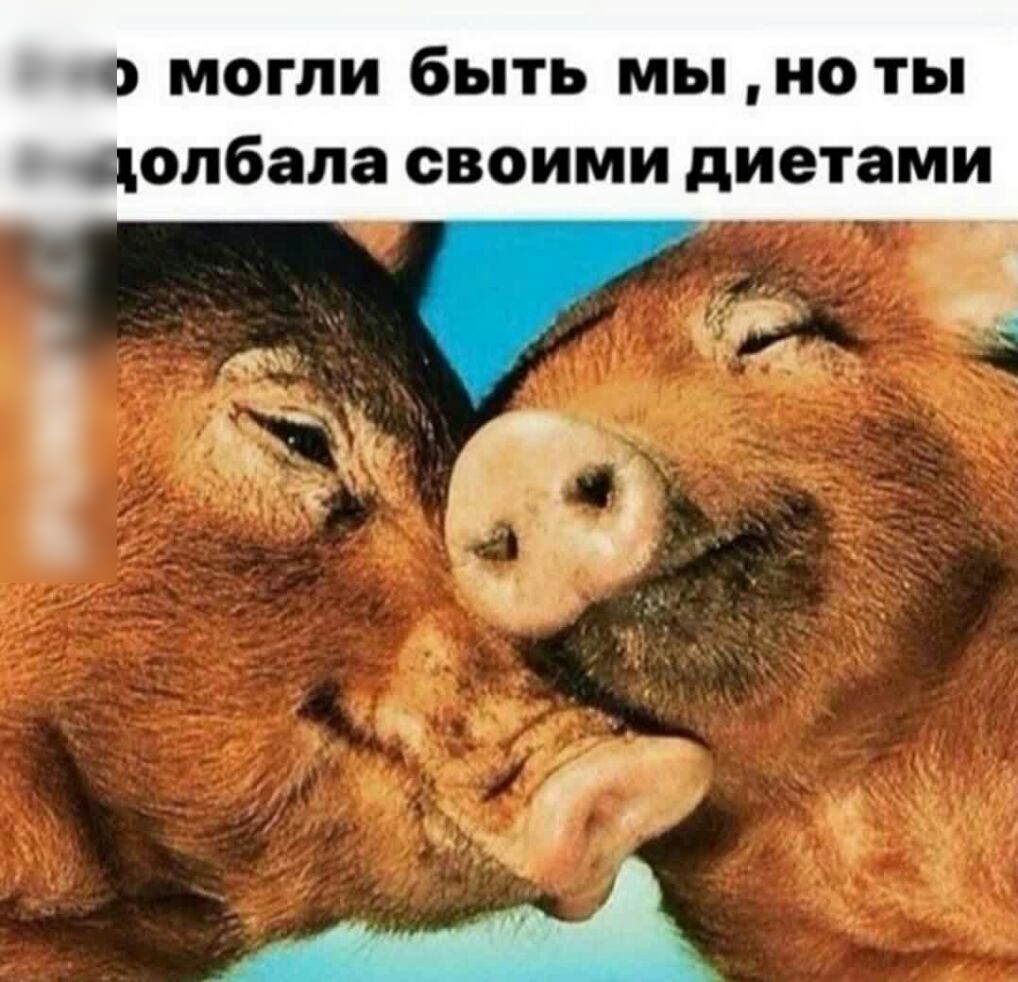 могли быть мы ноты долбала своими диетами