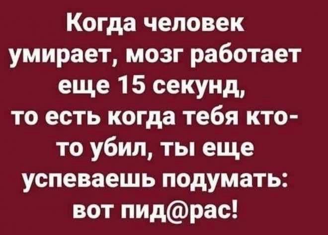 Когда человек умирает мозг работает еще 1 5 секунд то есть когда тебя кто то убил ты еще успеваешь подумать вот пидрас