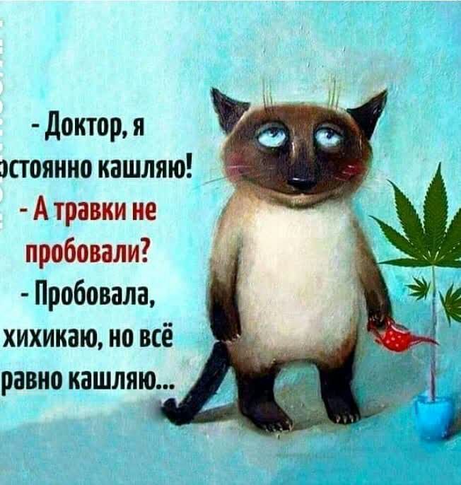Доктор я эстоянно кашляю А травки не пробовали Пробовала хихикаю но всё равно кашляю