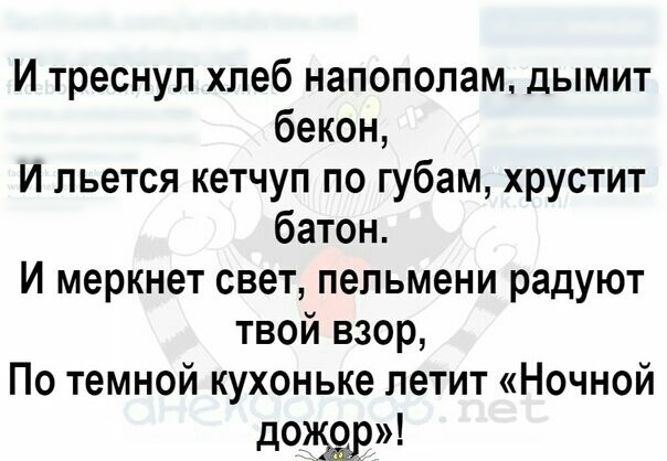 И треснул хлеб напополам дымит бекон И льется кетчуп по губам хрустит батон И меркнет свет пельмени радуют твой взор По темной кухоньке летит Ночной
