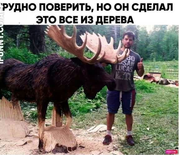 РУдНО ПОВЕРИТЬ НО ОН СДЕЛАЛ ЭТО ВСЕ И_3 дЕРЕВА