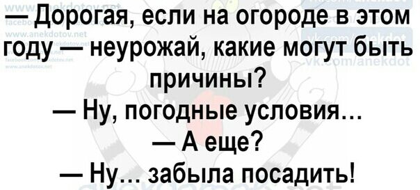 Дорогая если на огороде в этом году неурожай какие могут быть причины Ну погодные условия А еще Ну забыла посадить