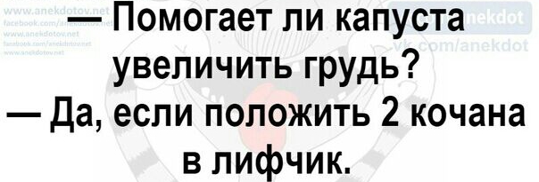 Помогает ли капуста увеличить грудь Да если положить 2 кочана в лифчик