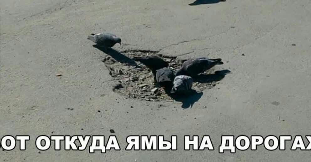 ж
