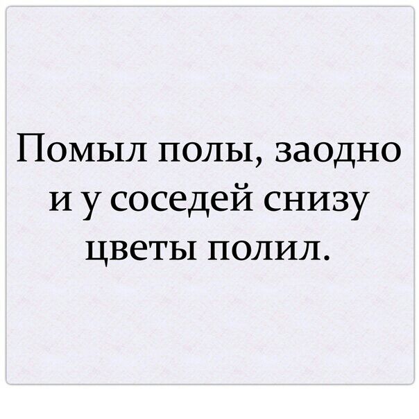 Помыл полы заодно И у соседей снизу цветы полил