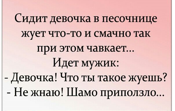 Сидит девочка в песочнице жует что то и смачно так при этом чавкает Идет мужик Девочка Что ты такое жуешь Не жнаю Шамо приползло