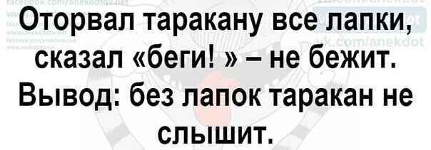 Оторвал таракану все лапки сказал беги не бежит Вывод без папок таракан не слышит