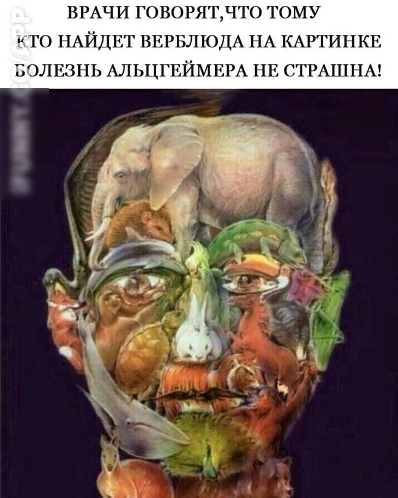 ВРАЧИ ГОВОРЯТЧТО ТОМУ ТО НАЙДЕТ ВЕРБЛЮДА НА КАРТИНКЕ БОЛЕЗНЬ АЛЬЦГЕЙМЕРА НЕ СТРАШНА