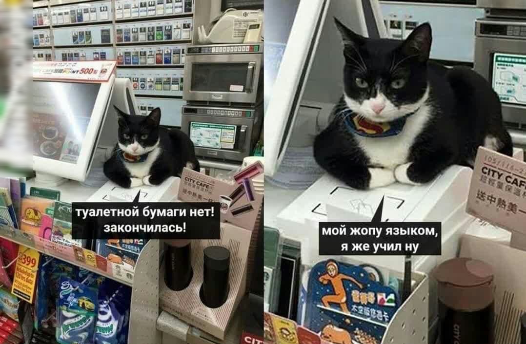 мой жопу языком я же учил ну