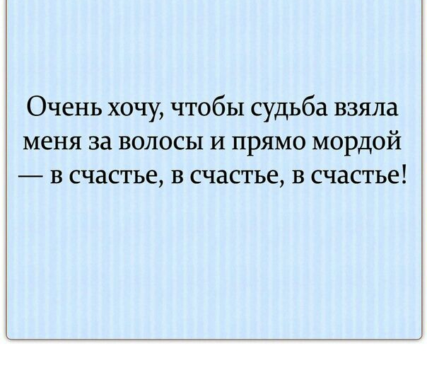Очень хочу чтобы судьба взяла меня за волосы и прямо мордой в счастье в счастье в счастье