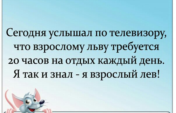 Сегодня услышал по телевизору что взрослому льву требуется 20 часов на отдых каждый день Я так И знал я взрослый лев