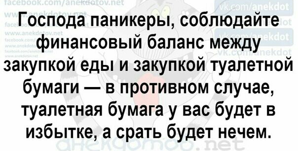 Господа паникеры соблюдайте финансовый баланс между закупкой еды и закупкой туалетной бумаги в противном случае туалетная бумага у вас будет в избытке а срать будет нечем