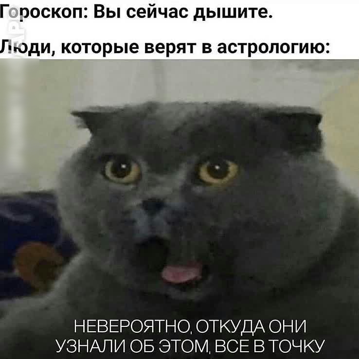Г роскоп Вы сейчас дышите пОдИ которые верят В ЗСТЕОЛОГИЮС НЕВЕРОЯТНО ОТКУДА ОНИ УЗНАЛИ ОБ ЭТОМ ВСЕ В ТОЧКУ