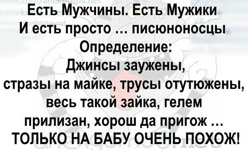 Есть Мужчины Есть Мужики И есть просто писюноносцы Определение джинсы заужены стразы на майке трусы отутюжены весь такой зайка гелем припизан хорош да пригож ТОЛЬКО НА БАБУ ОЧЕНЬ ПОХОЖ