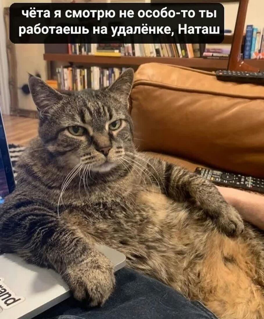 чёта я смотрю не особо то ты работаешь на удалёнке Наташ МЫЧ Б