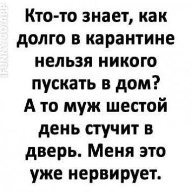 Кто то знает как долго в карантине нельзя никого пускать в дом А то муж шестой день стучит в дверь Меня это уже нервирует