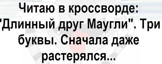 Читаю в кроссворде дпинный друг Маугли Три буквы Сначала даже растерялся